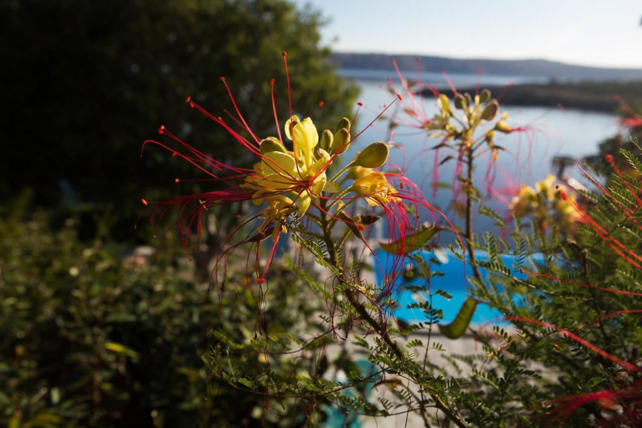 Resort Haus Toma セサリサ エクステリア 写真