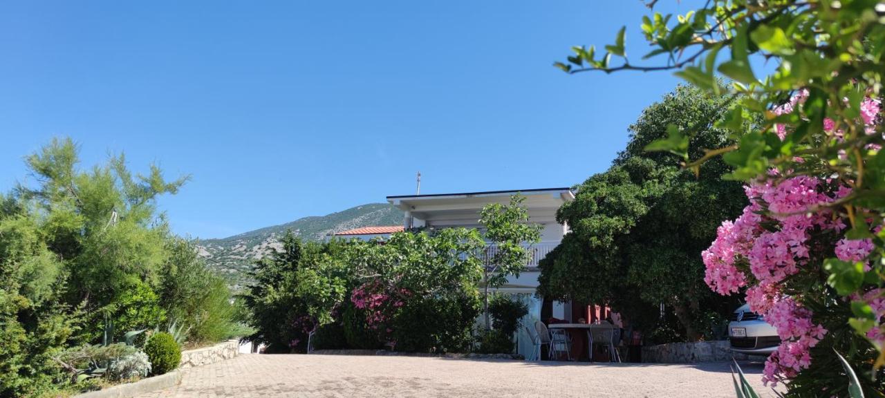 Resort Haus Toma セサリサ エクステリア 写真